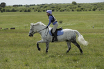 BVHT 140517  NXC -17
