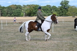 WJ7_6796