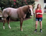 carolyn_058