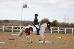 SBM_002640