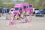 BPP_0949
