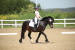SBM_008735