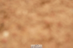 240526A-114550-07889