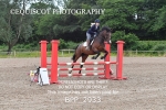 CLASS 11 SUN Club/ Unaffiliated 80cms Open portfolio