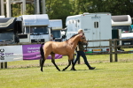 SBM_05557