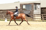 SBM_003587