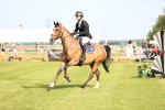 SBM_01401