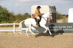 SBM_06945