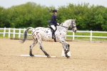 SBM_005923