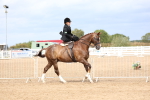 SBM_03402