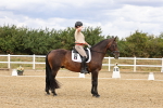SBM_006613