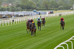 Race 1 1.45pm British Stallion Studs EBF Novice Stakes portfolio