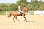 SBM_010198