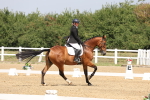 SBM_006184