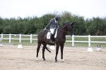 SBM_017555