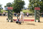 SBM_68331