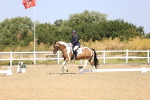 SBM_009314