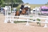 BPP_8729
