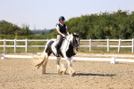 SBM_006566