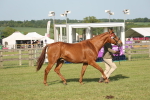 SBM_10496