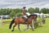 JAC_8675