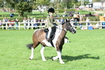 SBM_50290