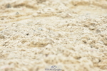 250719A-152438-06811