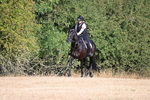 WJ6_6722