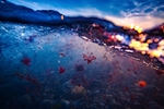 z3791 Underwater Blues