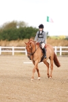 SBM_009231