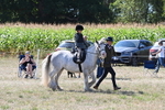 WJ6_7918