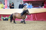 SBM_20008
