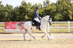 Novice 5 - 08.30-9.33 portfolio
