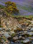 The English Lake District portfolio