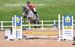 BPP_2395