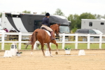 SBM_013259