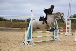 Class 13: Pony British Novice/80cm open portfolio
