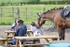 BPP_8636