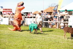 SBM_08315