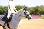 SBM_007554