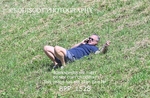 BPP_1528