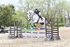 BPP_3531