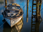 Just Afloat