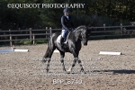 BPP_8740