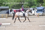 BPP_0118