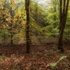 Autumn Highlights