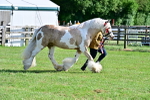 SBM_10181