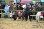 SHETPR 210425 50