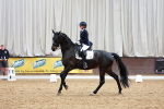 SBM_002993