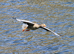 IMG_9028_2